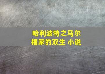 哈利波特之马尔福家的双生 小说